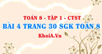 Bài 4 trang 30 SGK Toán 8 Tập 1 Chân trời sáng tạo